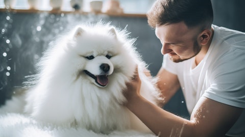 A groomer devotedly brushing a fluffy white dog.