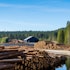 West Fraser Timber Co. Ltd. (NYSE:WFG) Q3 2025 Earnings Call Transcript