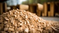 15 Countries that Produce the Most Biomass Energy in the World