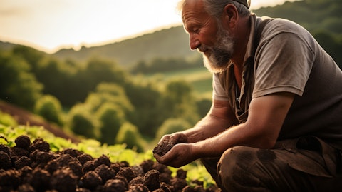 A farmer harvesting truffles in the countryside, ready to be shipped to customers.