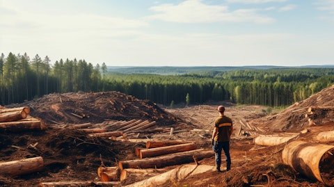 A panoramic view of a forest filled with trees used to make NBSK pulp, wood chips, and saw logs.