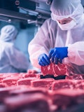 16 Biggest Lab Grown Meat Companies in 2023