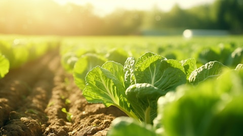 Is Dingdong (Cayman) Limited (DDL) the Cheap Chinese Stock to Buy Now?