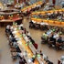 Harvard University Stocks List: Top 12 Picks