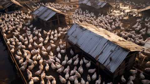 A bird's-eye view of a poultry farm, its white and black feathered chickens sprawled across the farm.