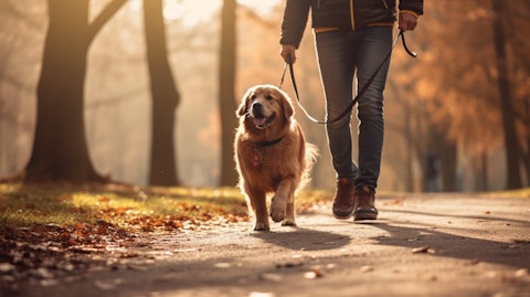 15 Best Retirement Cities for Dog Lovers