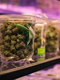 30 Cities with the Highest Weed Consumption in the US