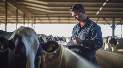 A farmer collecting a California Mastitis Test from a dairy cow in the barn.