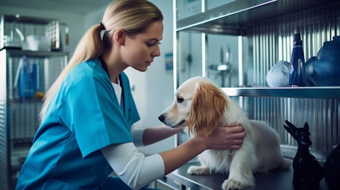 A veterinarian examining a pet in a well-equipped animal clinic.