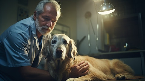 A veterinarian conducting a physical exam on a four-legged patient in a veterinary hospital, highlighting the company's work in veterinary health.