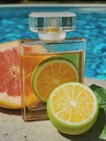 Best Cheap Perfume for Women That Smells Amazing