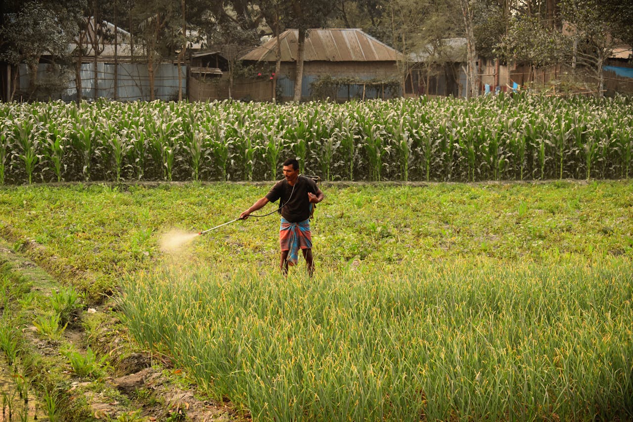 11 Best Fertilizer Stocks to Invest In