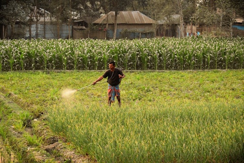 11 Best Fertilizer Stocks to Invest In