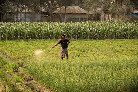 11 Best Fertilizer Stocks to Invest In