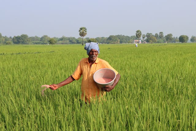 CF Industries Holdings, Inc. (CF) Expands Ammonia Strategy Amid Analyst Downgrades